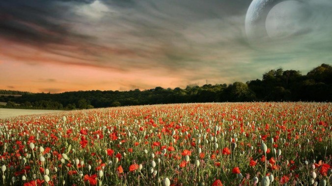 为什么拼音26键没有ü?